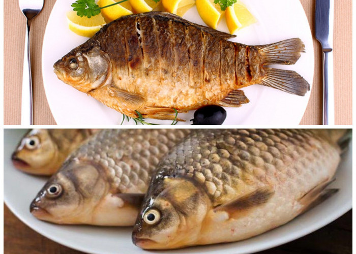 Pilihan Ikan Tawar Rendah Purin yang Cocok untuk Penderita Asam Urat