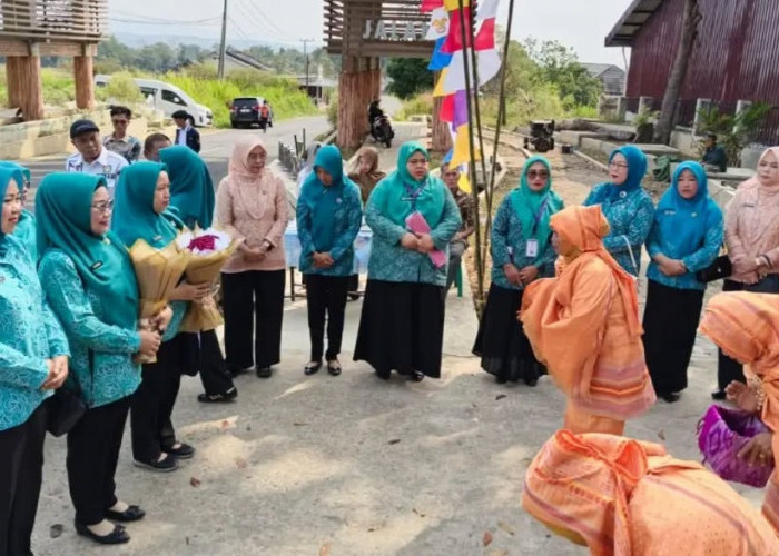 Atung Bungsu Dinilai Tim TP PKK Sumsel