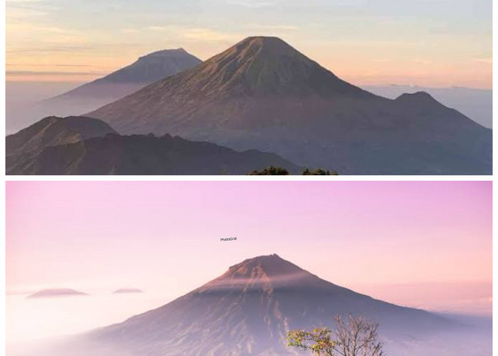 Pesona Mistis dan Keindahan Alam Gunung Sindoro yang Memikat Hati Pendaki!