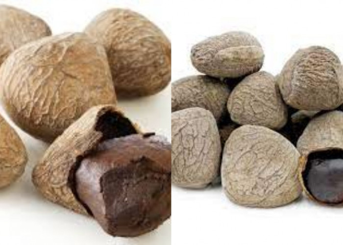  Ini Dia Segudang Manfaat Kluwek Untuk Kesehatan Yang Jarang Diketahui!