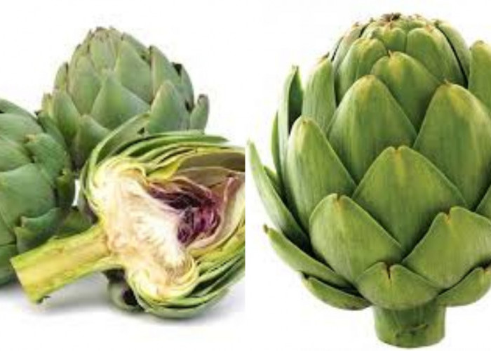 Inilah 8 Kandungan Nutrisi dan Manfaat Artichoke bagi Kesehatan!