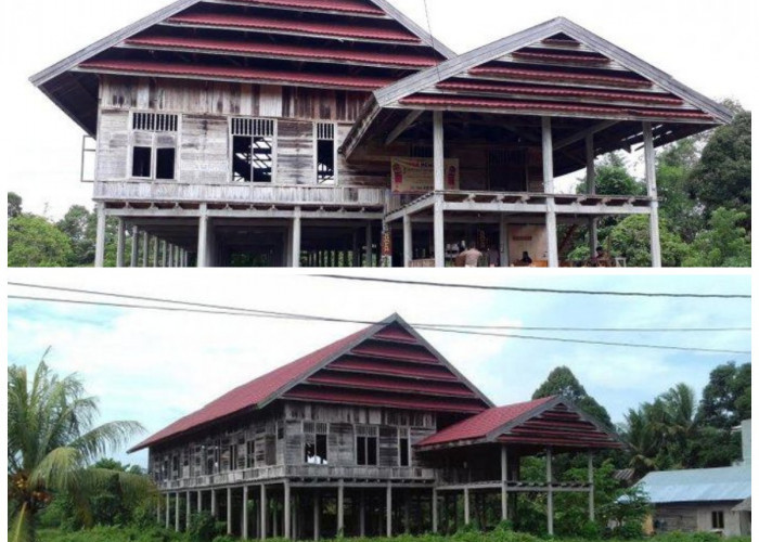 Sejarah Rumah Adat Banua Maoge Wotu: Warisan Leluhur dari Luwu Timur!