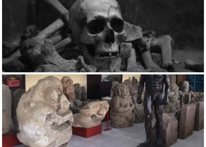 Homo Sapiens Wajakensis: Bukti Kejayaan Peradaban Purba Indonesia di Mata Dunia