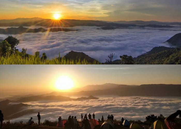 Intip Keindahan Eksotis Desa Mantar Sumbawa Barat, Tempat yang Terasa Seperti Berada di Atas Awan