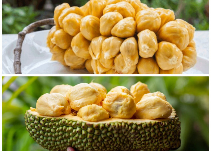 5 Khasiat Cempedak untuk Kesehatan yang Sering Terlewatkan, Penuh Nutrisi dan Antioksidan Alami!