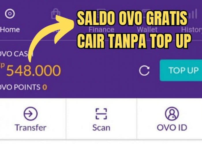 Mau Dapat 500 Ribu Saldo OVO Setiap Hari? Cukup Baca Berita di Sini!