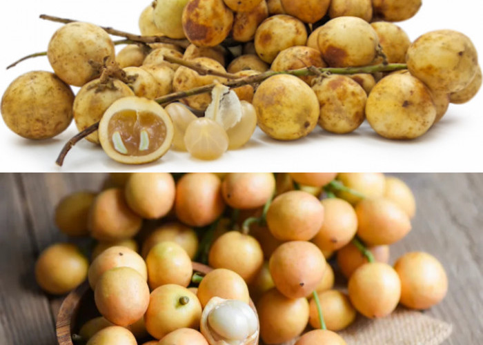 Manfaat Buah Rambai Untuk Kesehatan yang Jarang Diketahui!