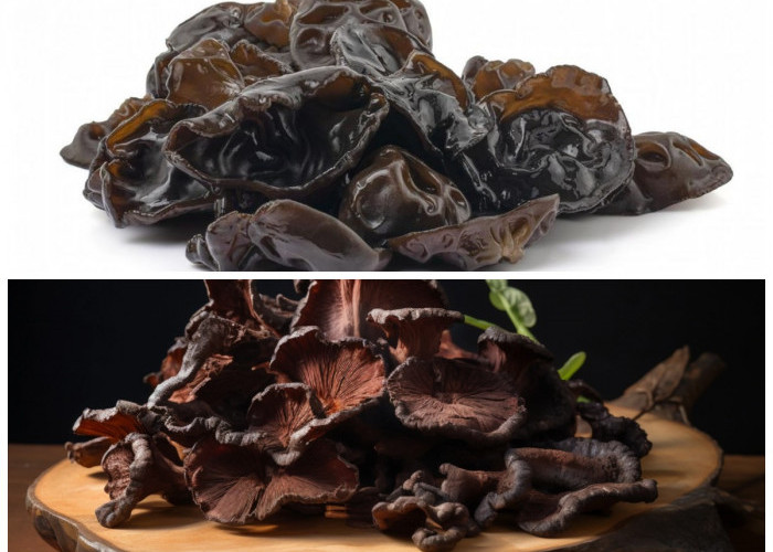 Jangan Remehkan! Ini Khasiat Jamur Kuping yang Baik untuk Tubuh