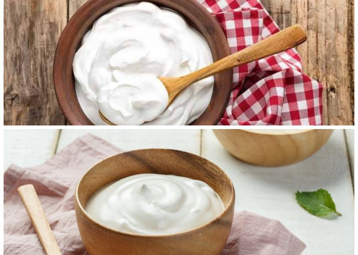 Yoghurt Plain dan Rahasia Kesehatannya: Sumber Gizi Alami yang Tak Terduga