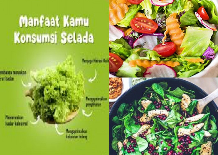 Mau Tulang Sehat? Ini 5 Nutrisi Penting yang Bisa Kamu Dapatkan dari Salad Sayur!