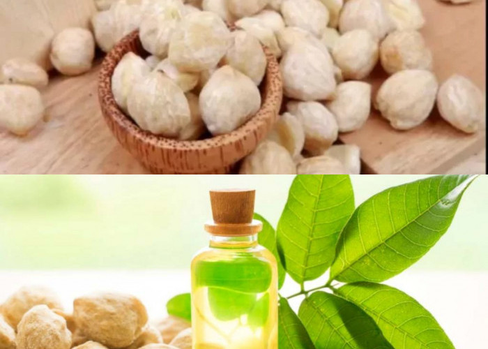  Manfaat Minyak Kemiri untuk Rambut dan Cara Menggunakannya!