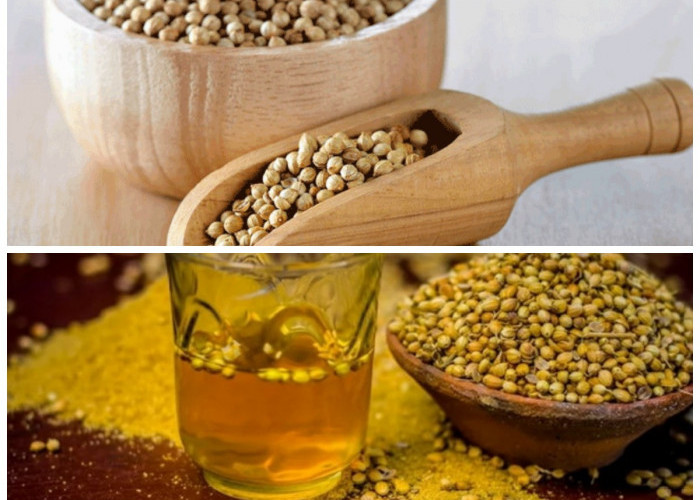 11 Manfaat Rebusan Air Ketumbar yang Menyehatkan Tubuh, Wajib Dicoba!