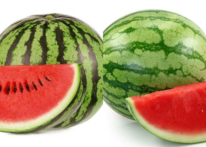 Menurunkan Risiko Kanker Wajib Kalian Tau Ini Ternyata Manfaat Semangka Untuk Kesehatan Tubuh! 