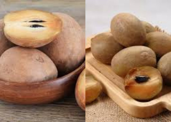 Jarang Diketahui Ini 6 Manfaat Sawo Untuk Kesehatan Ibu Hamil Yang Luar Biasa!