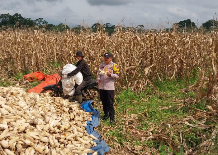 Polres Pagar Alam Dukung Program Ketahanan Pangan Presiden RI
