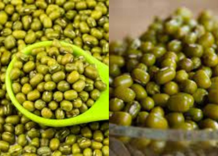  Manfaat Kacang Hijau Untuk Kesehatan Yang Harus Kalian Tahu!