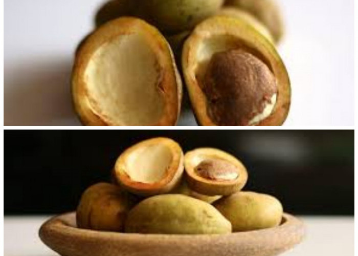 Kaya Nutrisi, Inilah Manfaat Buah Namnam untuk Menunjang Kesehatan Tubuh