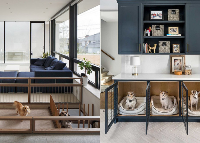 Desain Rumah Ramah Hewan Peliharaan: Rapi, Nyaman, dan Aman untuk Si Kesayangan!