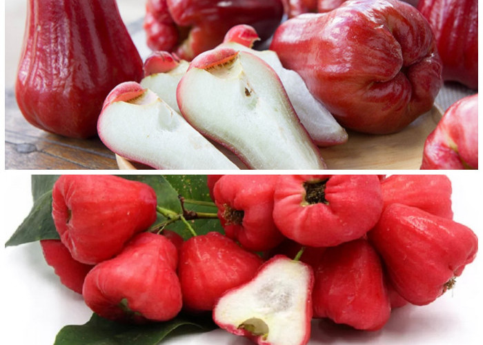 Manfaat Jambu Air untuk Tubuh: 7 Khasiat Sehat dari Buah Manis Ini