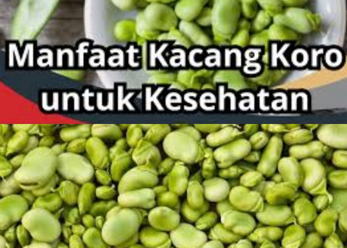 Mau Otak Lebih Tajam? Kacang Koro Bisa Jadi Solusinya!