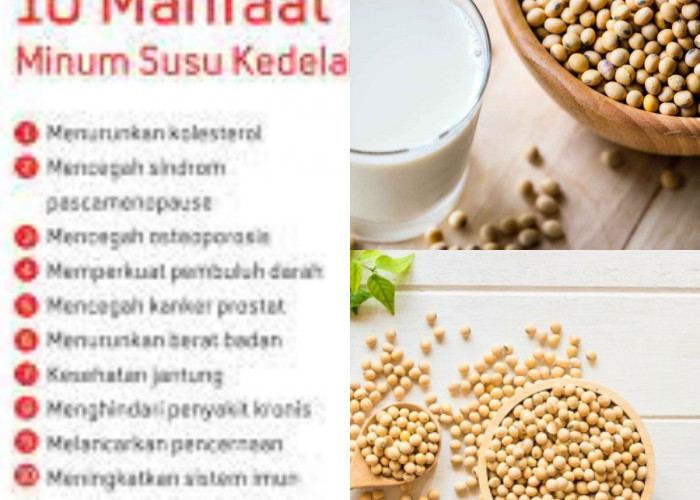 Ingin Tulang dan Gigi Sehat? Coba Manfaat Susu Kedelai Ini!