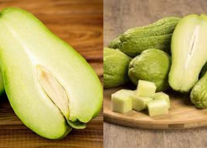 Yuk Ketahui! 10 Manfaat Labu Siam Untuk Kesehatan Tubuh Yang Luar Biasa