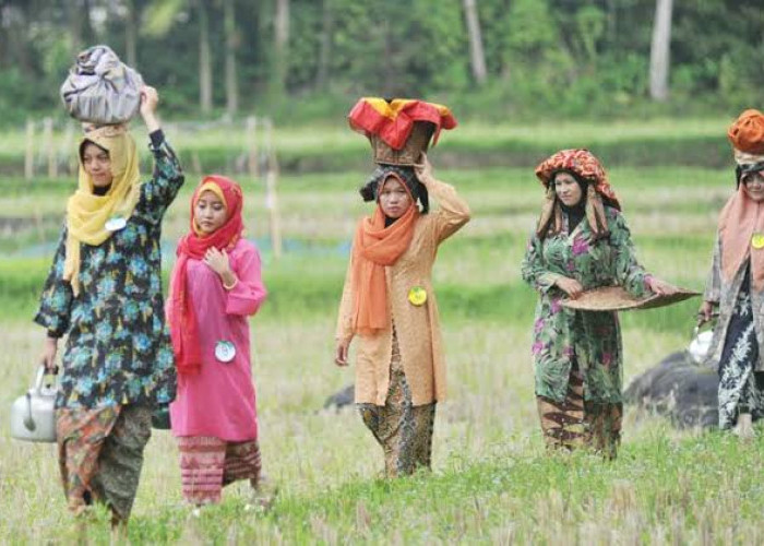 Keren Banget Lho! Ini Wisata Kubu Gadang Sumatera Barat, Ada Apa Yah?