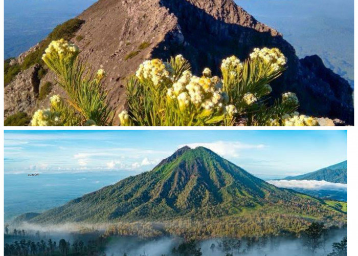 Sejarah Gunung Raung: Jejak Letusan, Kearifan Lokal, dan Warisan Alam di Jawa Timur!