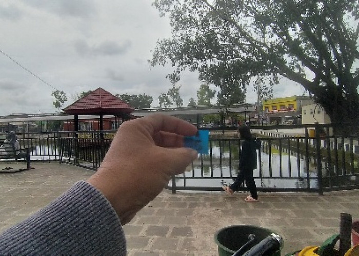 4 bulan Tarik Retribusi Parkir Tanpa Karcis di Taman Apung, Punglikah?