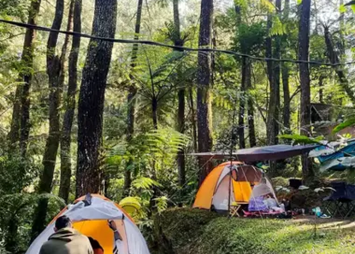Menggugah Jiwa Petualang, 5 Rekomendasi Tempat Camping di Bogor yang Cocok Untuk Healing!