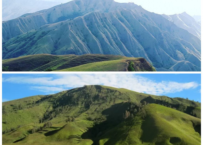 Sejarah Bukit Teletubbies: Pesona Alam dan Warisan Geologis di Balik Nama Unik!