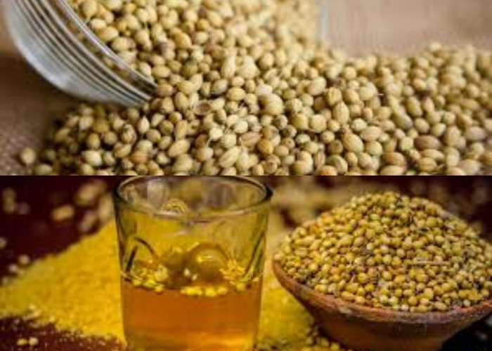 Wajib Tahu! Ternyata Rebusan Air Ketumbar Banyak Manfaatnya Bagi Kesehatan, Cek Disini