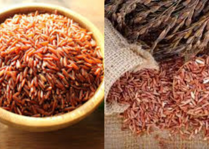 Yuk Ketahui! 8 Manfaat Beras Merah Untuk Kesehatan Tubuh
