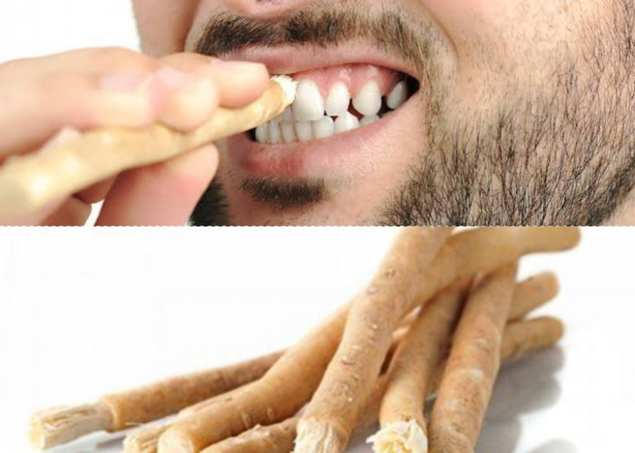 Mengenal Praktik Membersihkan Gigi di Masa Sebelum Ada Odol dan Sikat Gigi