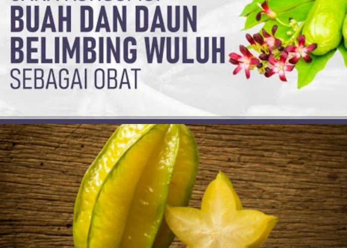 Mau Sehat dan Bugar? Belimbing Bisa Jadi Solusinya!