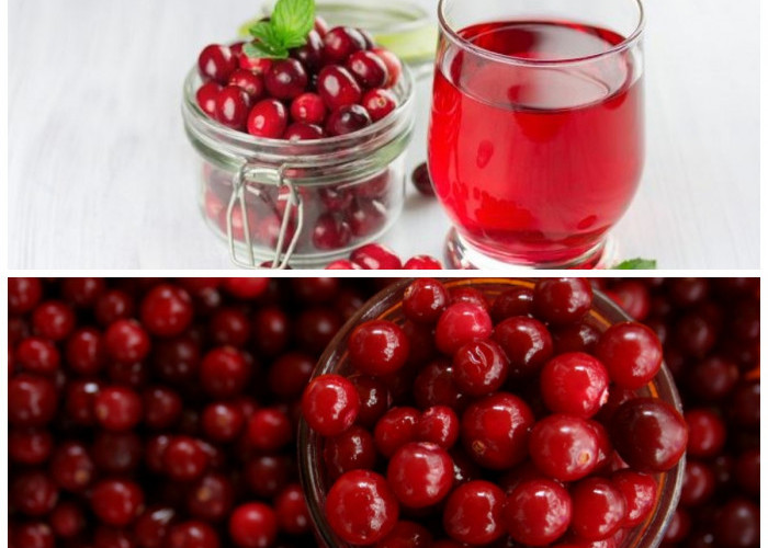 Cranberry dan Ragam Manfaatnya bagi Kesehatan Tubuh yang Perlu Kamu Tahu