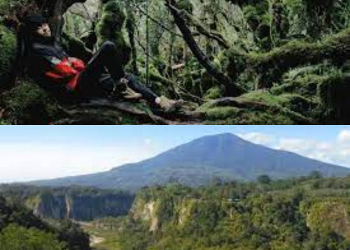 Dibalik Misterinya, Inilah Pesona Wisata yang Spektakuler di Gunung Singgalang 