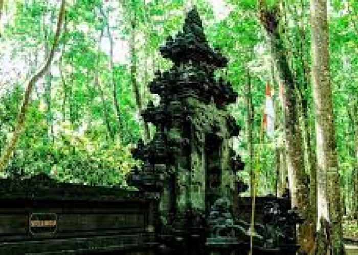 Sejarah, Temun Gundukan Batu Didalam Hutan Seluas 5 Ha Jawa Timur, Milik Istana Siapakah Cuk!