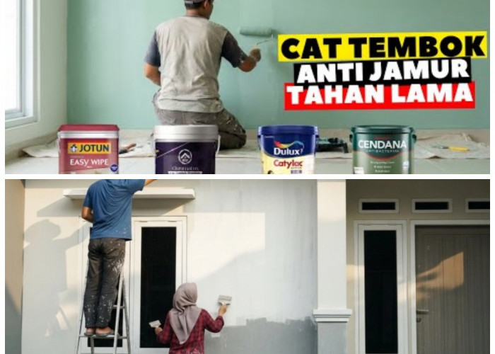 Tak Takut Lembap! 5 Rekomendasi Cat Tembok Anti Air yang Awet dan Anti Jamur
