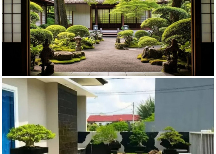 Inspirasi Taman Jepang Minimalis: 10 Desain Simpel yang Membuat Rumah Modern Terasa Lebih Damai