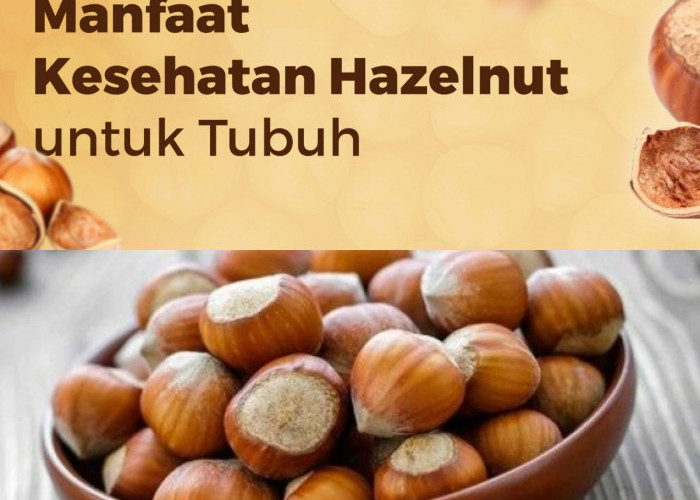 Hazelnut Bisa Jadi Solusi Kesehatan Jantung Anda! Apa Saja Manfaatnya?