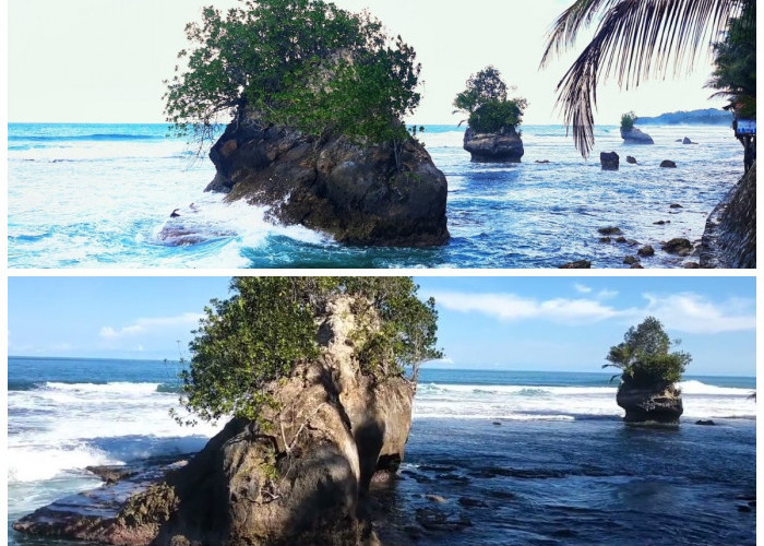 Batu Atola Nias: Fenomena Langka yang Menyimpan Banyak Pertanyaan