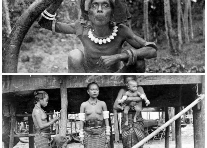 Mengulik Suku Tanimbar: Sejarah, Budaya, dan Tradisi yang Sarat Makna