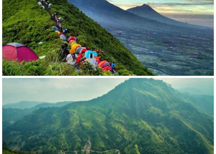 Selain Suguhkan Keindahan Alam yang Indah! Inilah 5 Gunung di Indonesia yang Cocok Buat Pendaki Pemula