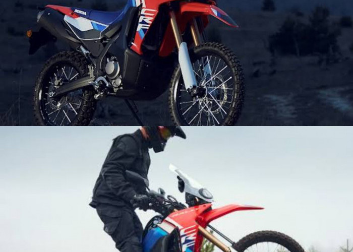 Hanya 99,3 Juta! Honda CRF250 Rally Pilihan Paling Siap Pakai untuk Reli dan Adventure Touring