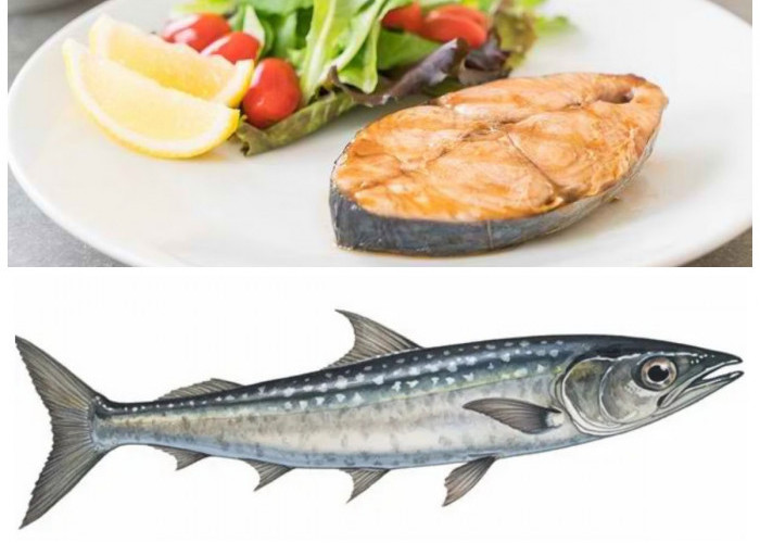 Kaya Gizi dan Bermanfaat! Ini Fakta Nutrisi Ikan Tenggiri yang Jarang Diketahui