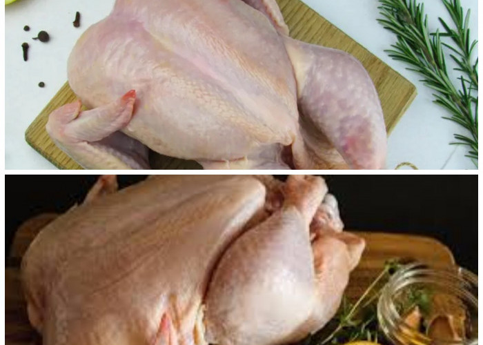 Tips Praktis Menghilangkan Bulu Ayam Kampung Tanpa Mesin, Hasil Cepat