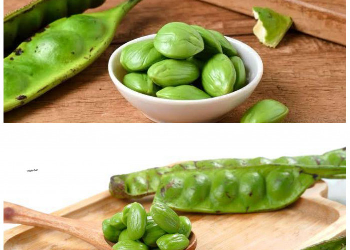 Memahami Manfaat Petai bagi Kesehatan Tubuh: Si Bau yang Kaya Nutrisi!