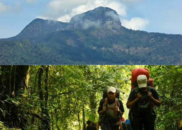 Apa yang Membuat Gunung Saran Menarik untuk Dijelajahi di Pulau Borneo? Ini Alasannya!