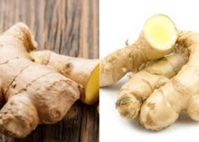 5 Khasiat Kunyit Putih bagi Kesehatan